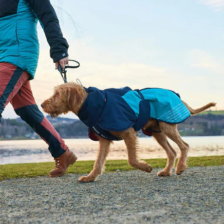 Hold sin hund varm og beskyttet - vælg den perfekte vinterjakke
