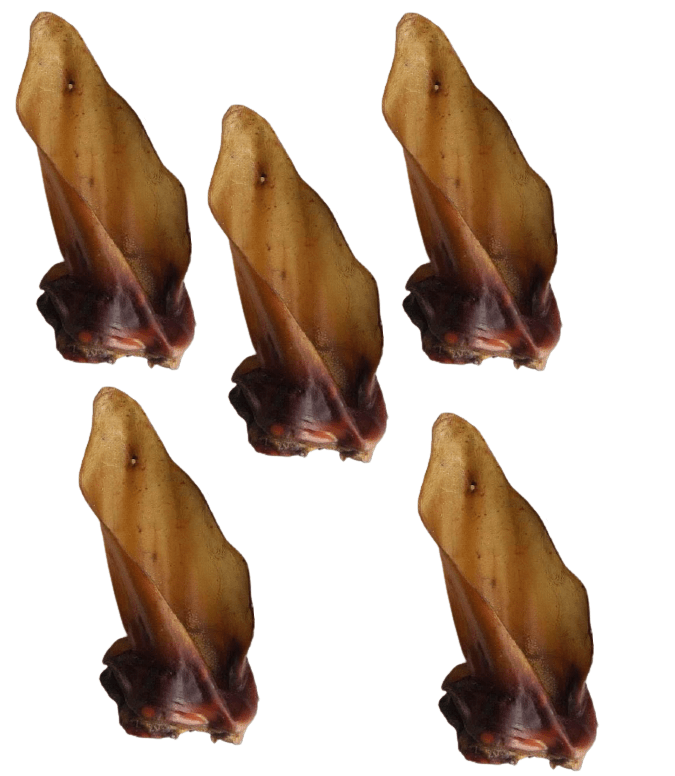 Snack'it Okseører med muskel – Naturlig tyggeglæde. 5-10 stk.