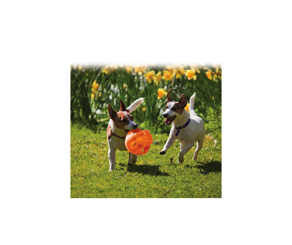 KONG Jumbler Ball – sjov, interaktiv leg med indvendig bold og håndtag