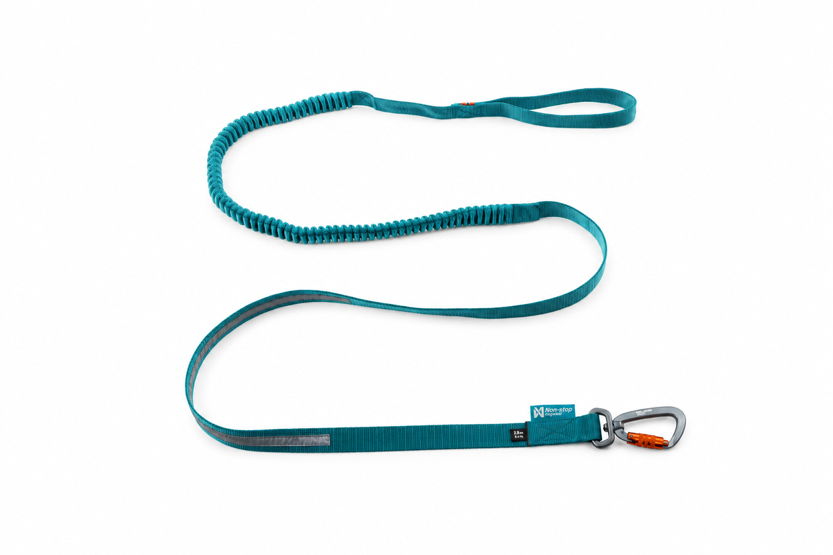 Non-stop Dogwear Touring Bungee Adjustable – Komfortabel og fleksibel hundeline (Kopi)