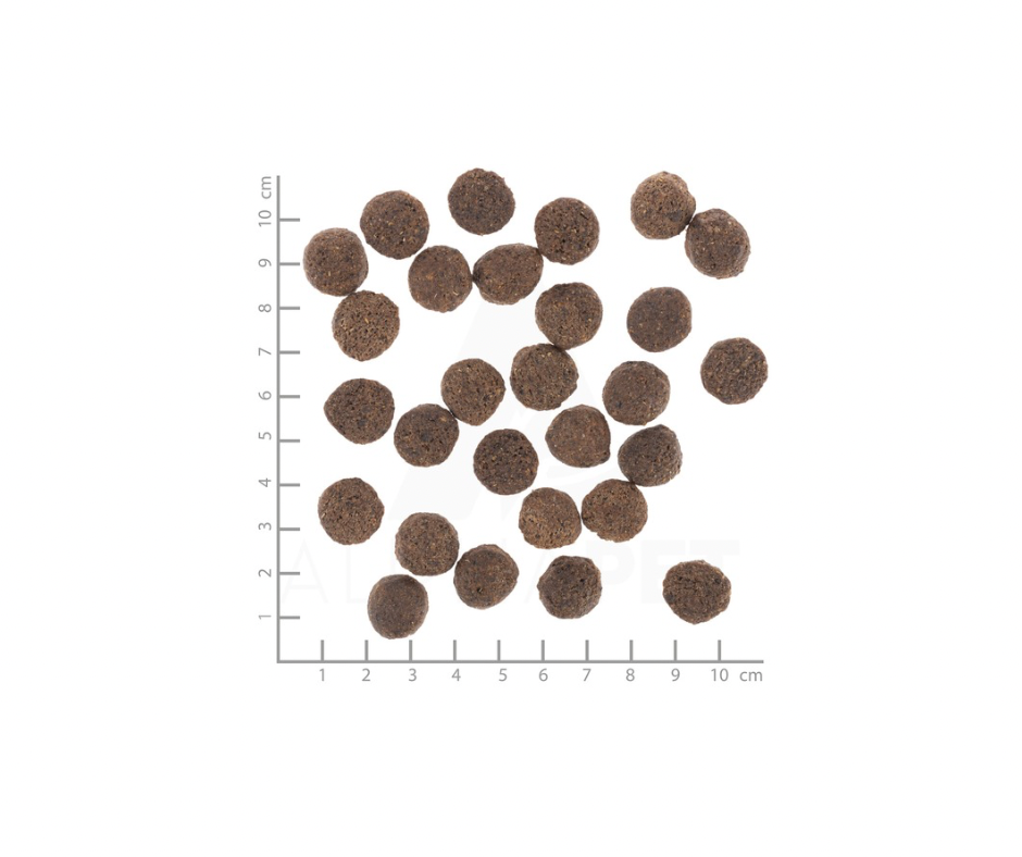 Wolfsblut VetLine Renal – diætfoder til hunde med nedsat nyrefunktion (2 kg)