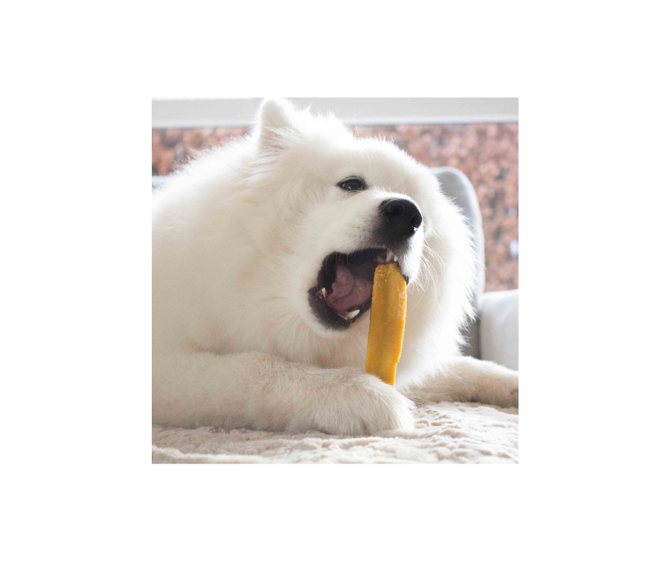 Yaki Tyggesnacks til Hunde (Str. L)– Vælg mellem Neutral, Gurkemeje eller Mango