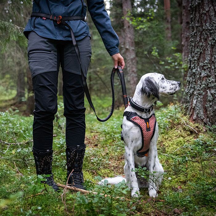 Non-stop Dogwear Touring Bungee Adjustable – Komfortabel og fleksibel hundeline