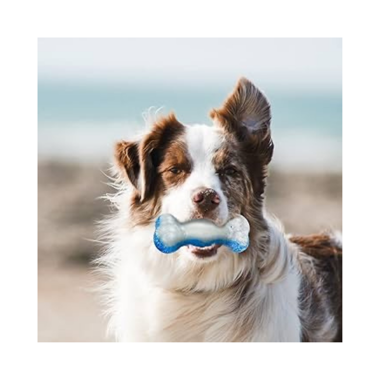 Chill Out Ben 16 cm – Kølende legetøj til varme dage