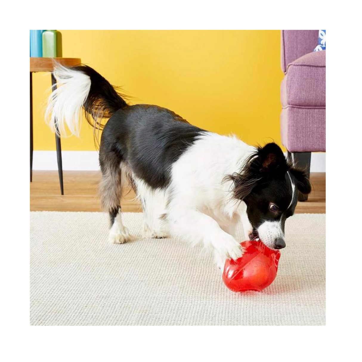 KONG Jumbler Football – Interaktiv bold med pibelyd og håndtag