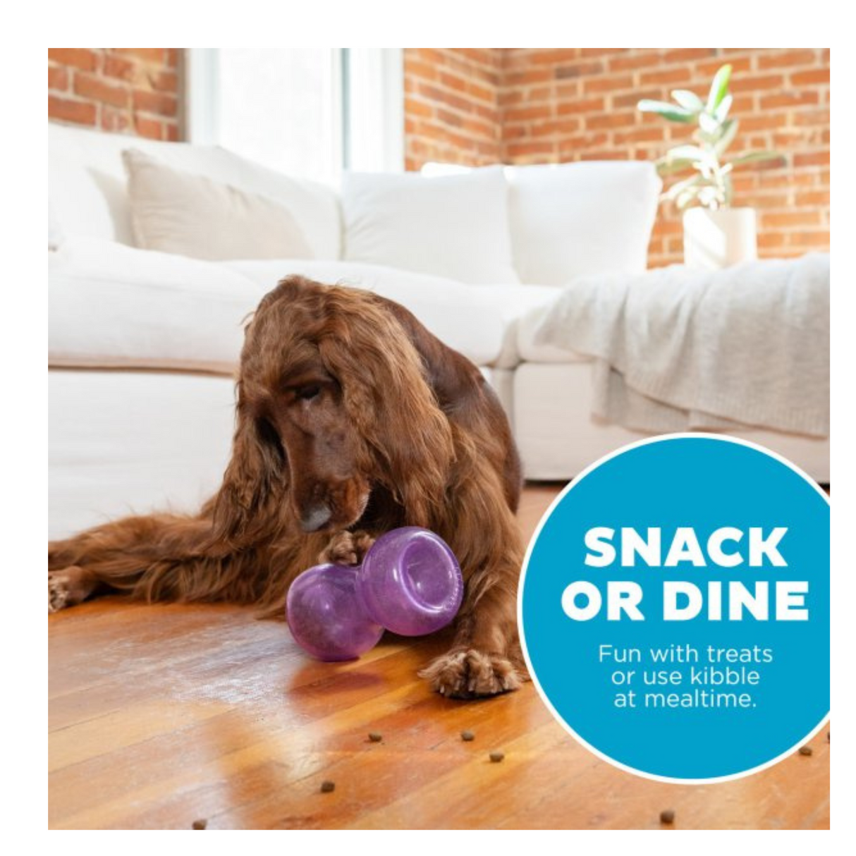 Oh Double Snoop – interaktivt legetøj med sjov og godbidder i begge ender