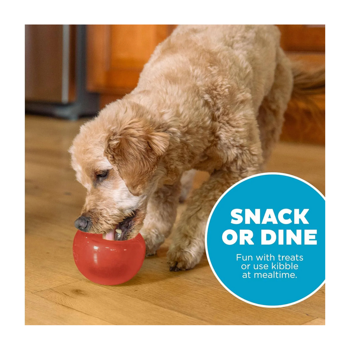 Oh Planet Dog Snoop – sjov og udfordrende godbidsleg i to størrelser