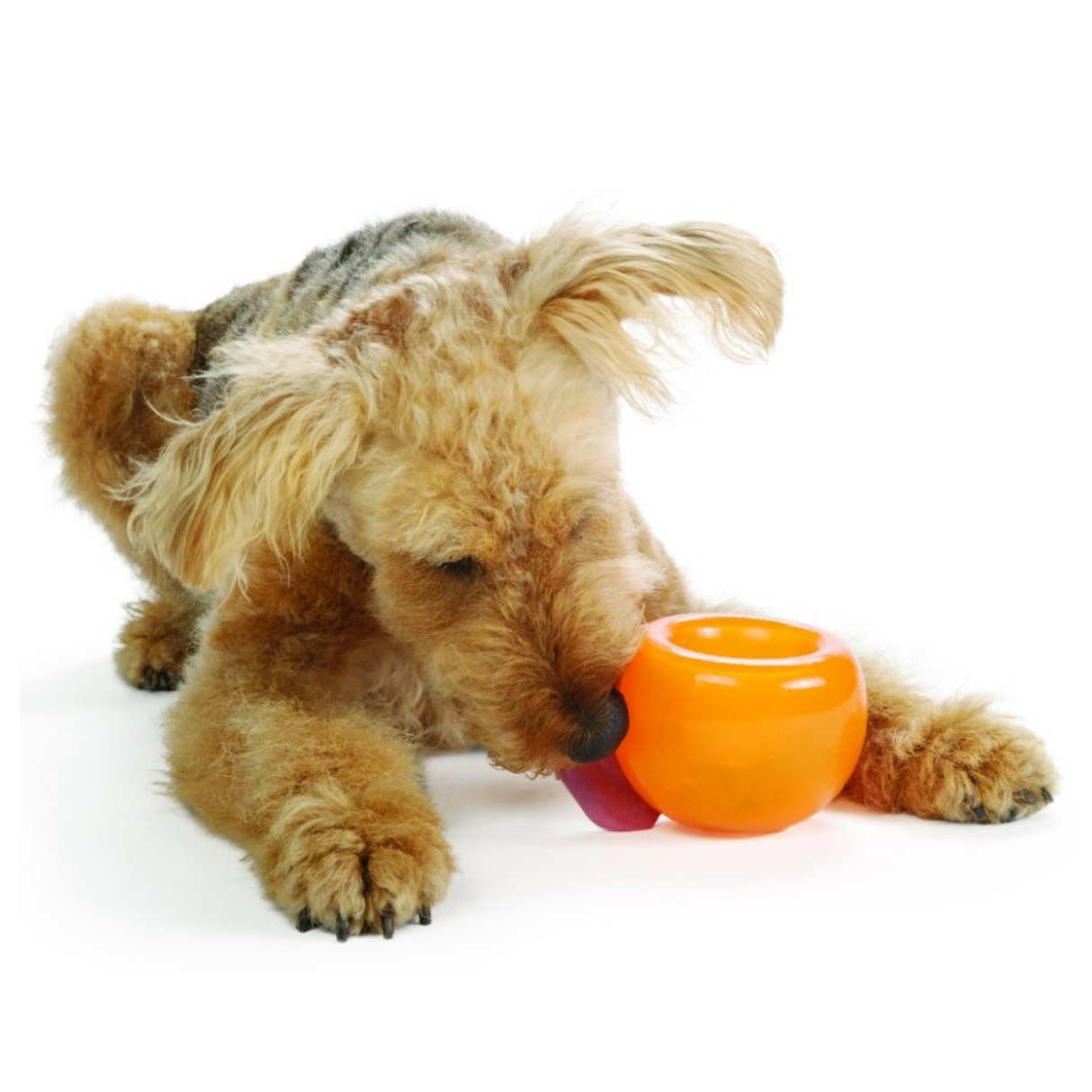 Oh Planet Dog Snoop – sjov og udfordrende godbidsleg i to størrelser