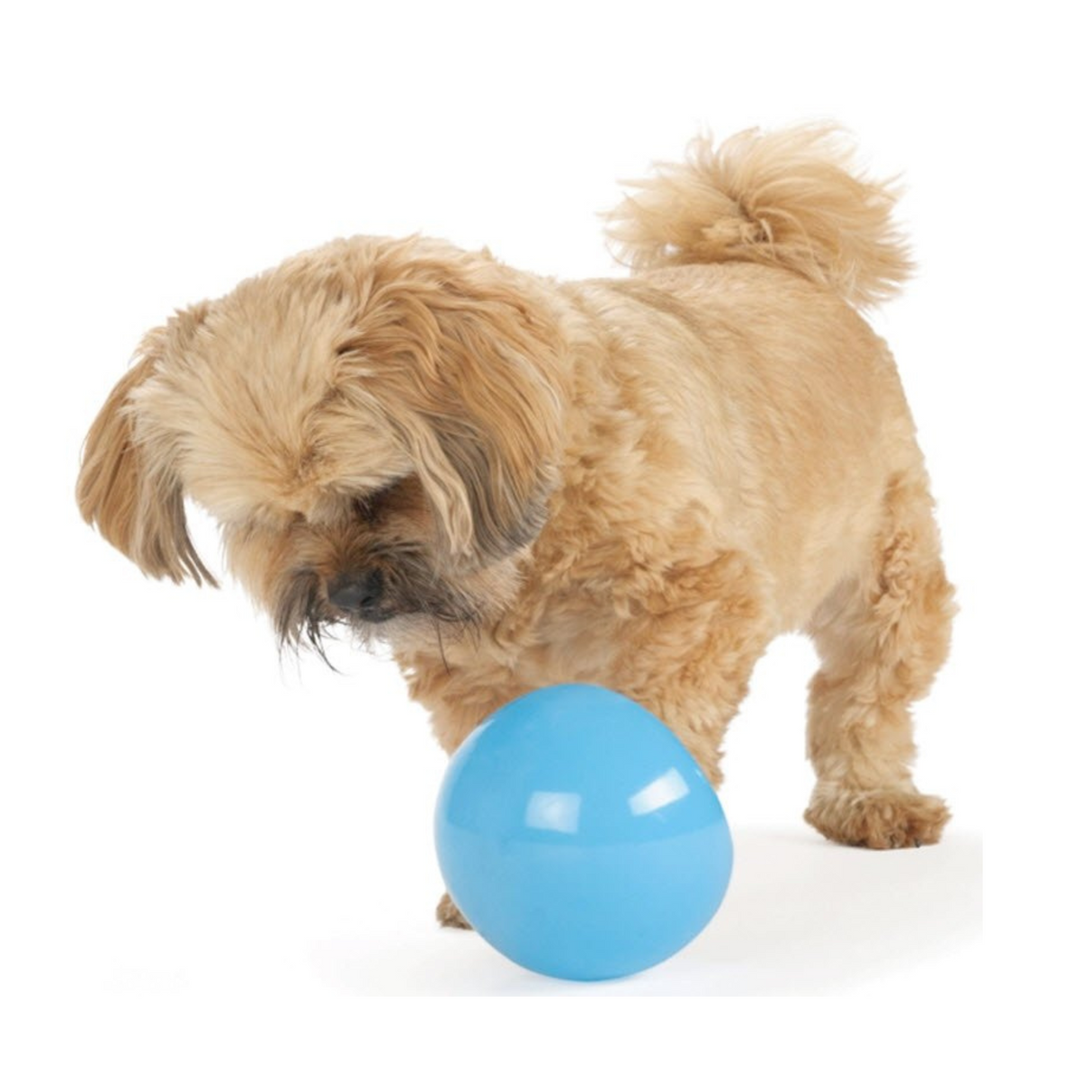 Oh Planet Dog Snoop – sjov og udfordrende godbidsleg i to størrelser