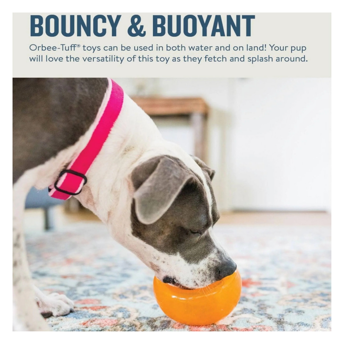 Oh Planet Dog Snoop – sjov og udfordrende godbidsleg i to størrelser