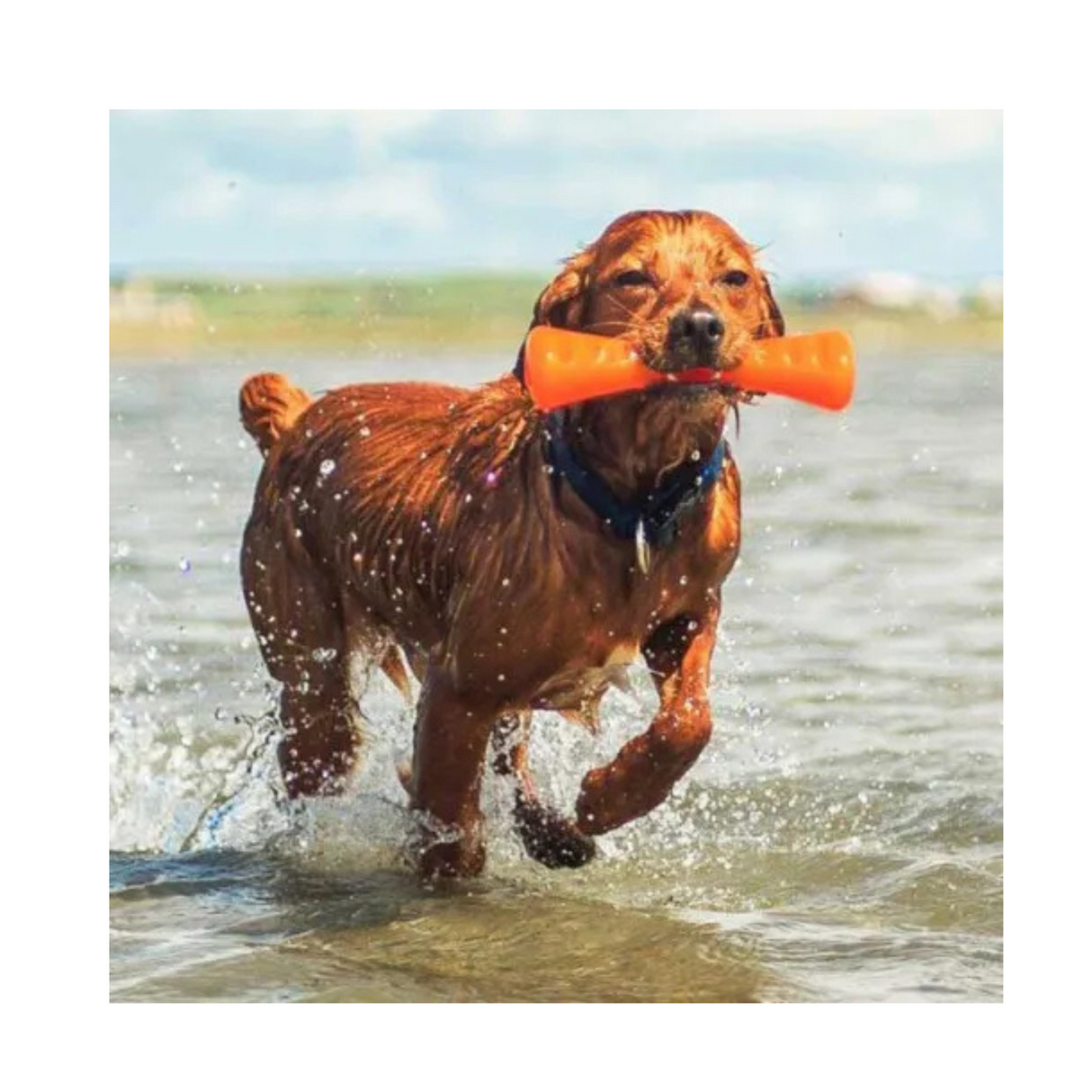 Bionic Urban Stick – slidstærkt og alsidigt tyggelegetøj med godbidhul