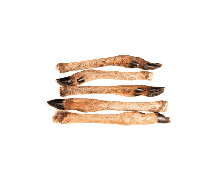 Snack’it Rådyrunderben med pels – naturlig vildtsnack til din hund