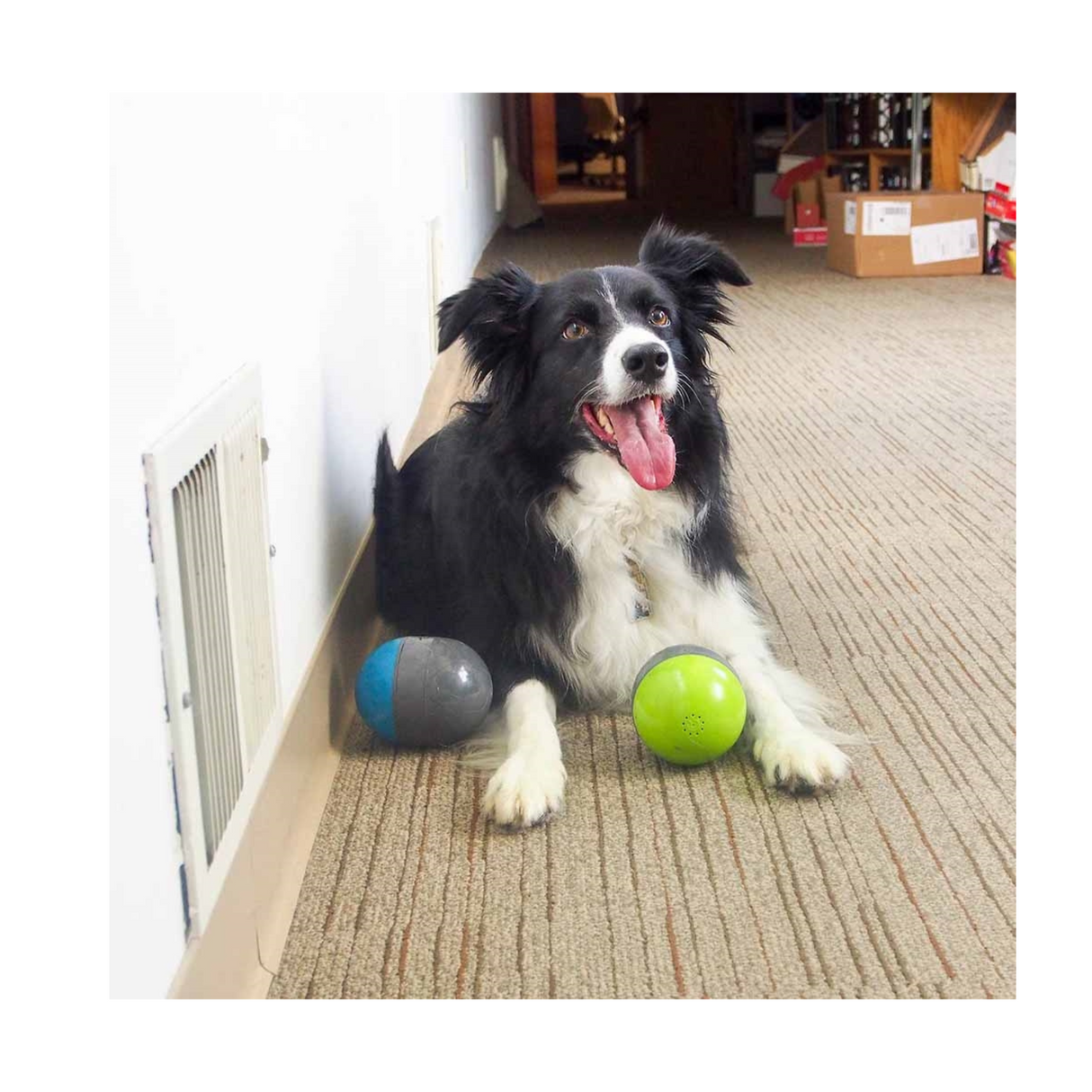 Interaktiv leg med Ricochet – lyden hopper fra legetøj til legetøj!