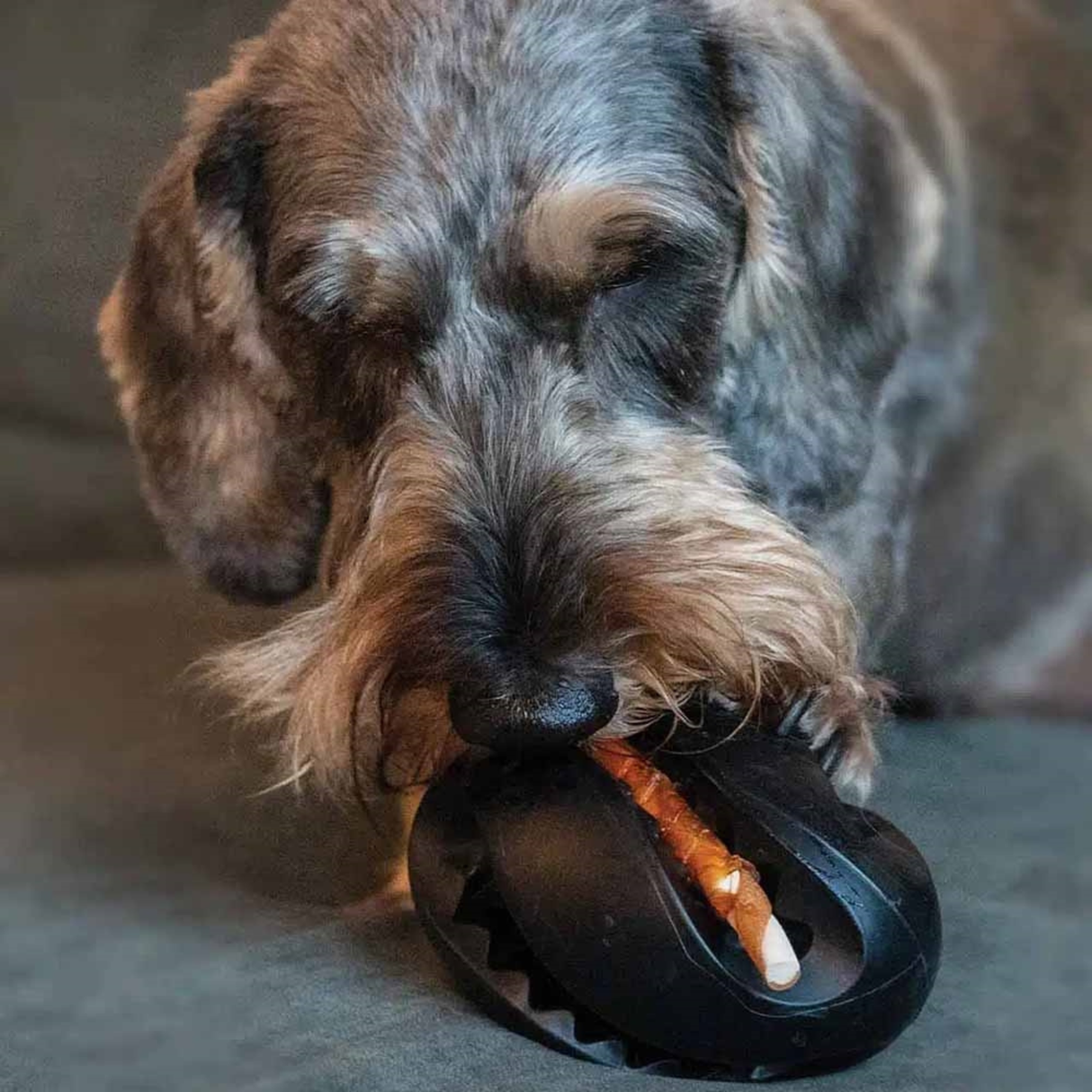 Zeus ChewChasers Treat Rugby Ball 12,5 cm – Aktiveringslegetøj til Hund