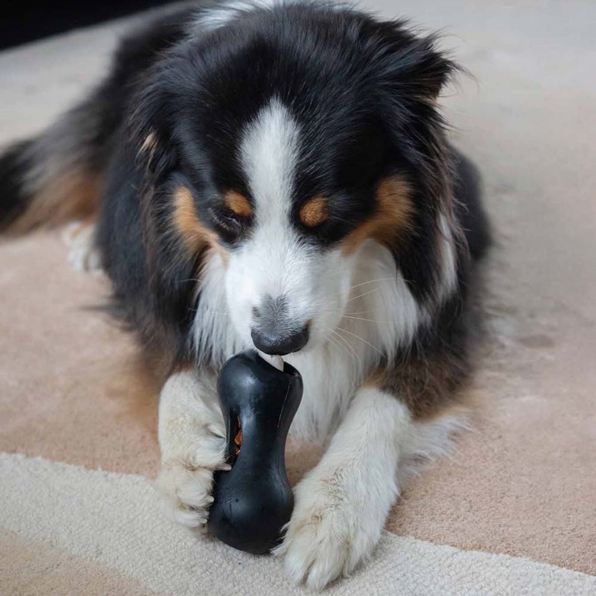 Zeus ChewChasers Treat Peanut – Aktiveringslegetøj med Godbidder (Vælg Størrelse)