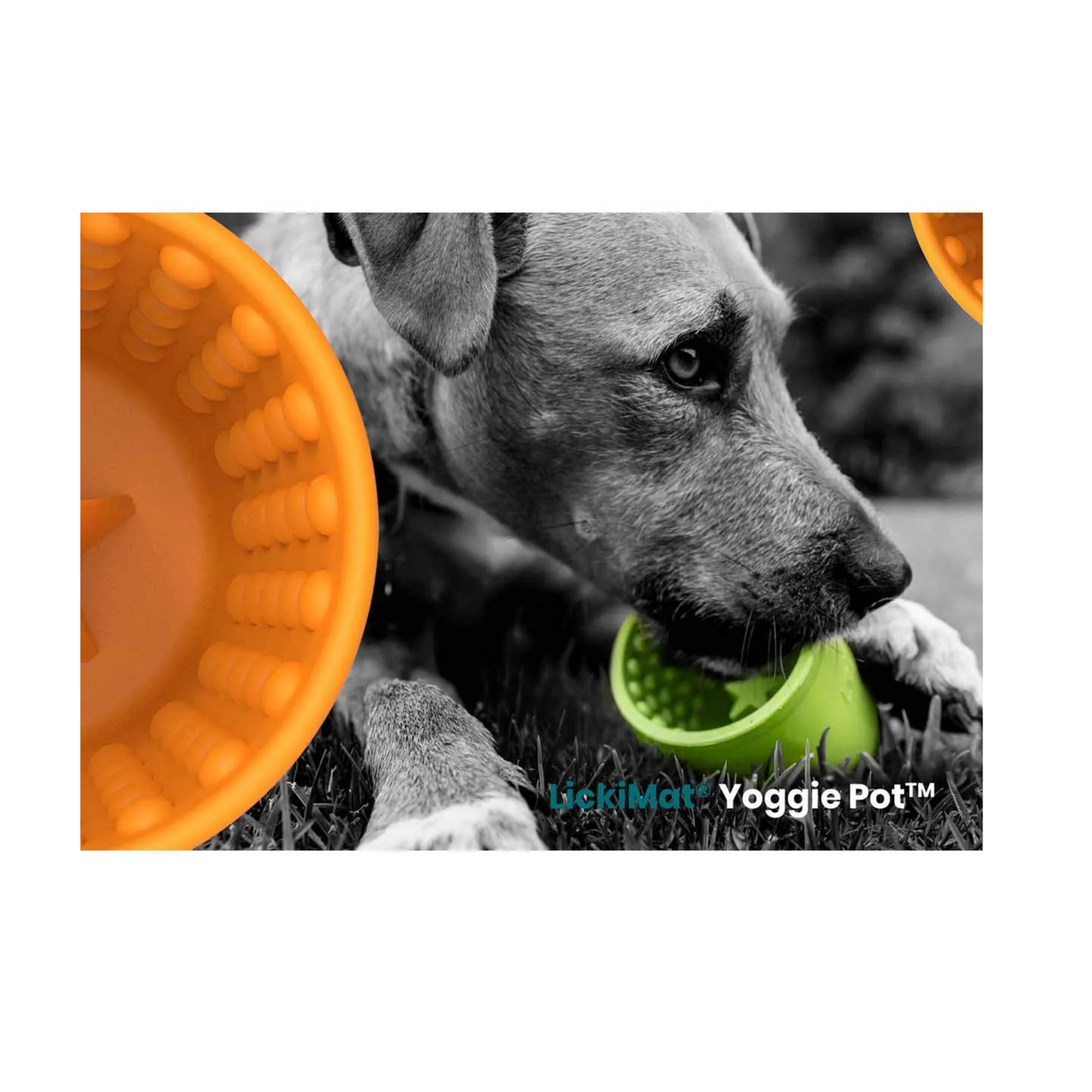 LickiMat Yoggie Pot – langsom fodring og sjov i fire farver