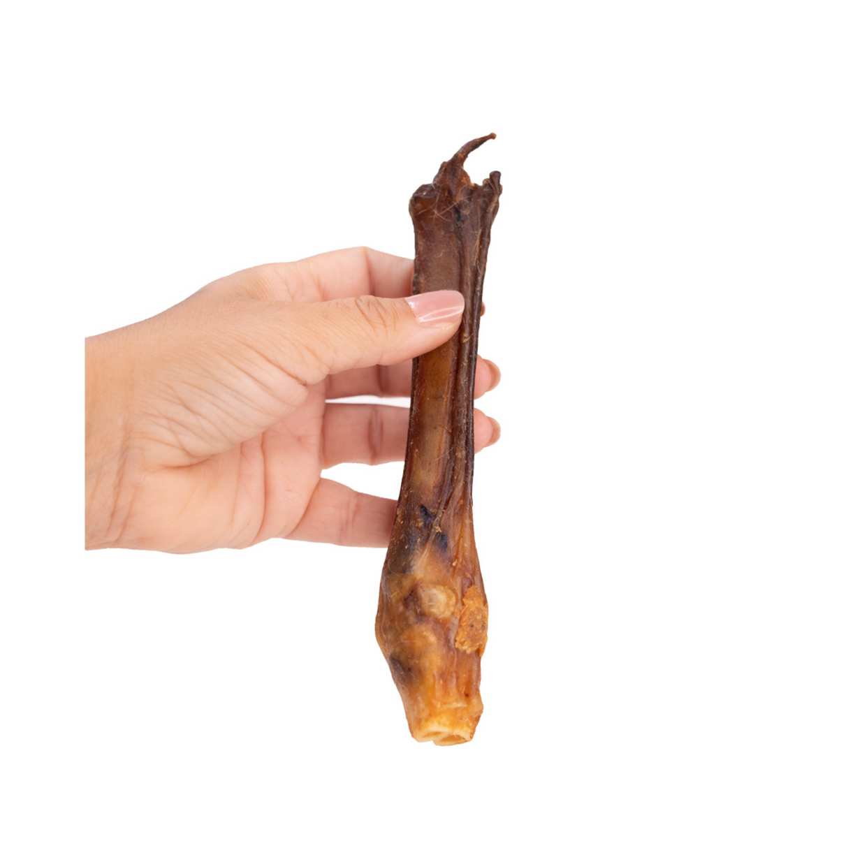 Snack’it Lammeben – Naturlige tyggeben af lam (1 stk. eller 3 stk.)