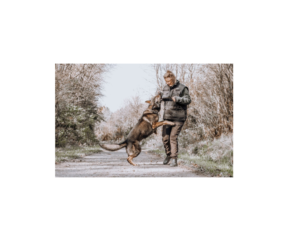 Non-Stop Bite Defense, Black – Robust Kamprulle til Hunde i Str. S til XL