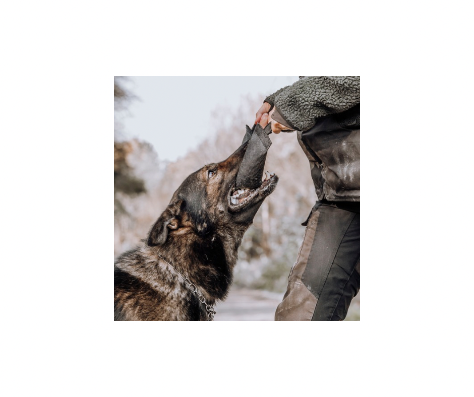 Non-Stop Bite Defense, Black – Robust Kamprulle til Hunde i Str. S til XL