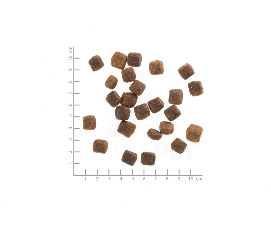 Wolfsblut Wide Plain Horse Senior – skånsomt foder til ældre hunde