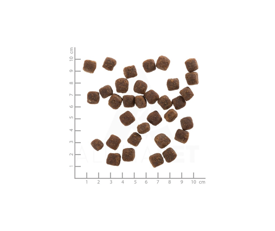 Wolfsblut Wild Duck Puppy 12,5 kg – Kornfrit fuldfoder til hvalpe