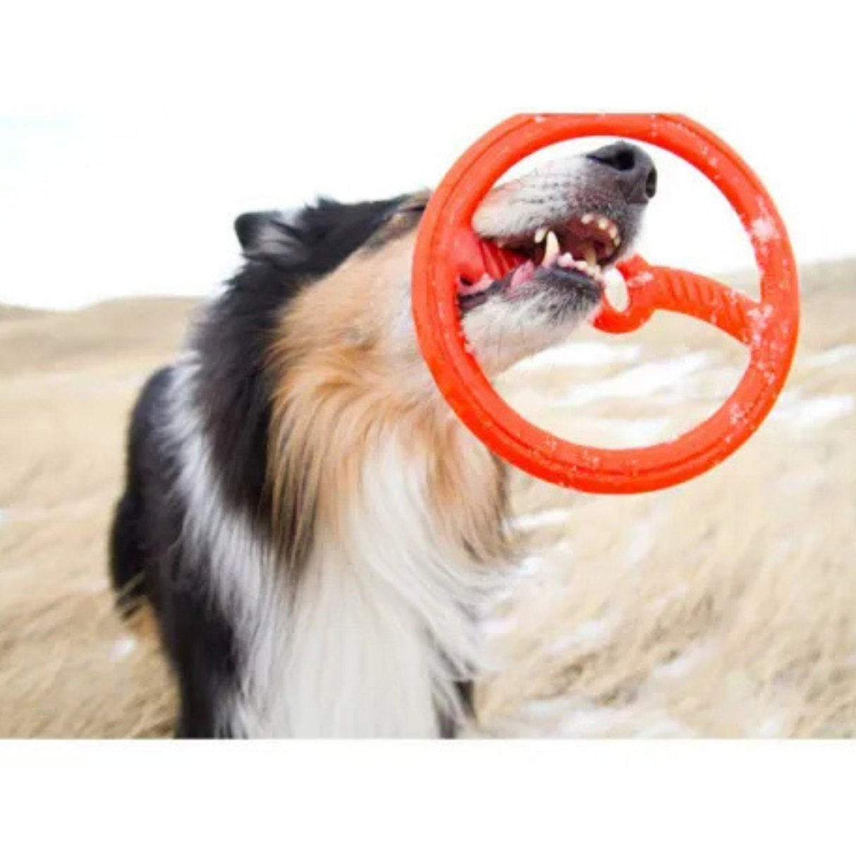 Bionic Toss N Tug – 2-i-1 Kaste- og Træklegetøj (18,5 cm & 22,5 cm)