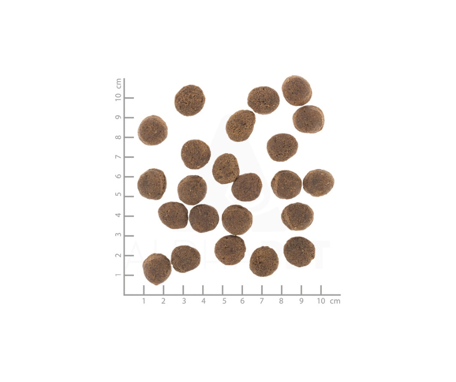 Wolfsblut VetLine Gastrointestinal – diætfoder til hunde med mave/tarmproblemer (12 kg)