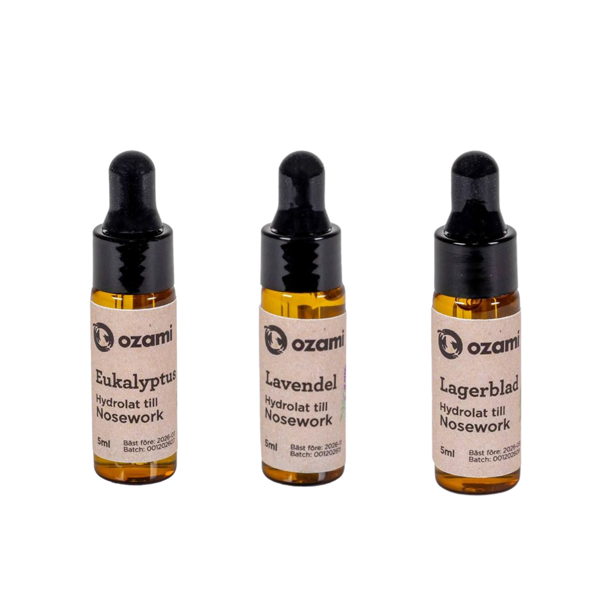 Ozami Nosework – Dufttræning til din hund