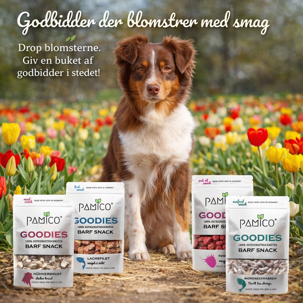 Pamico frysetørrede hindbær – naturlig og næringsrig snack til hund og kat