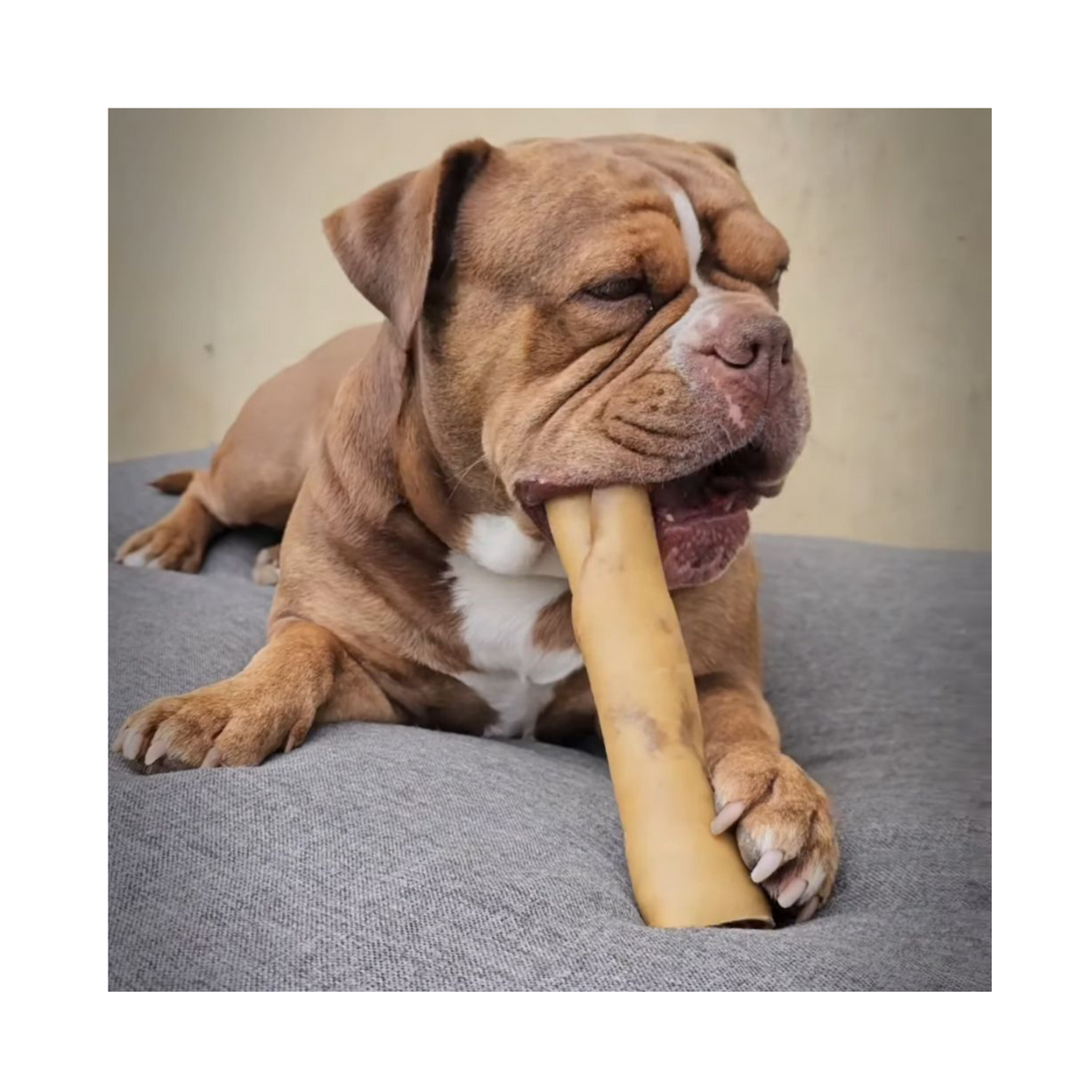 Snack’it Pandebraskruller 15 cm & 25 cm – 1 kg (Okse)