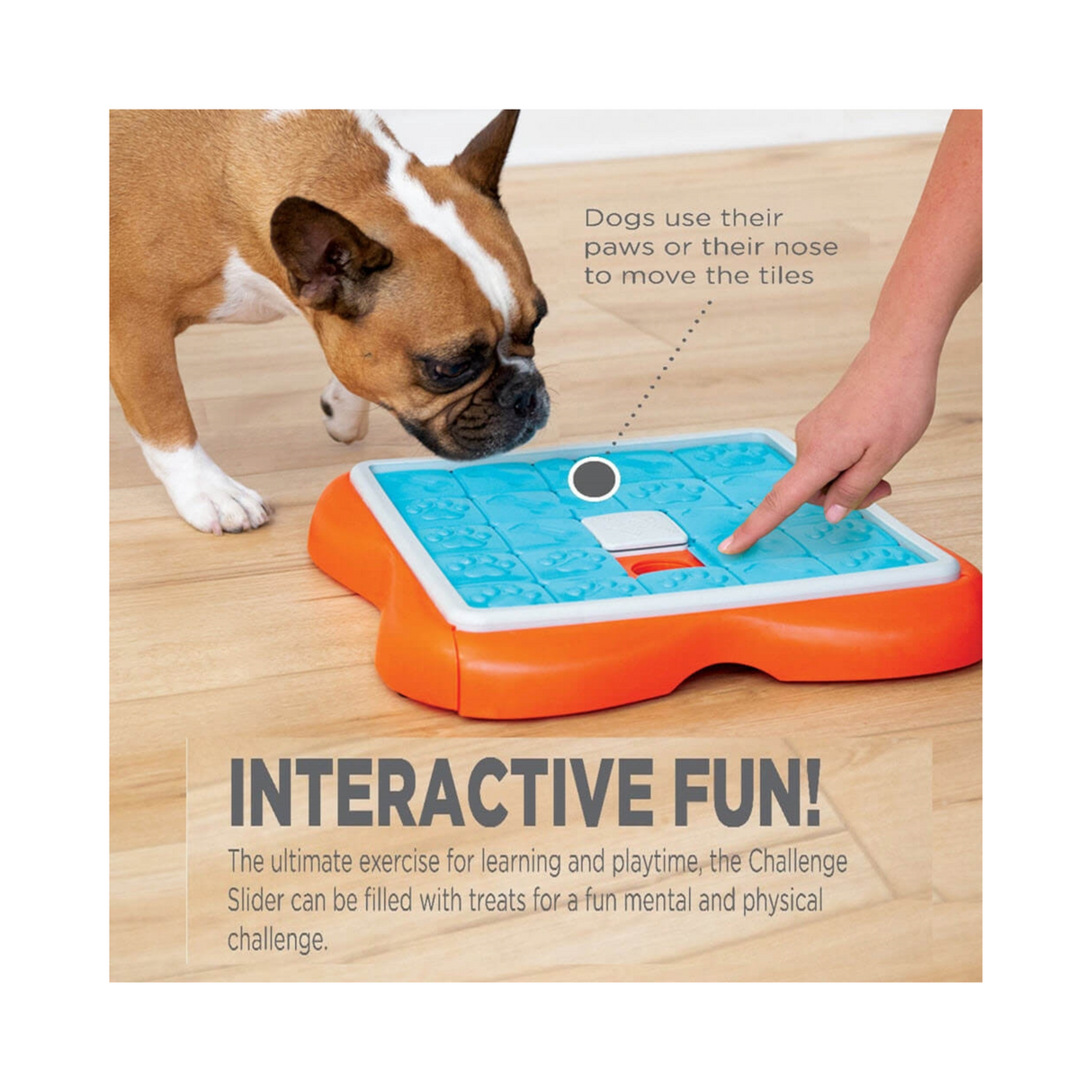 Dog Challenge Slider – hundepuslespil Level 3 til mental aktivering