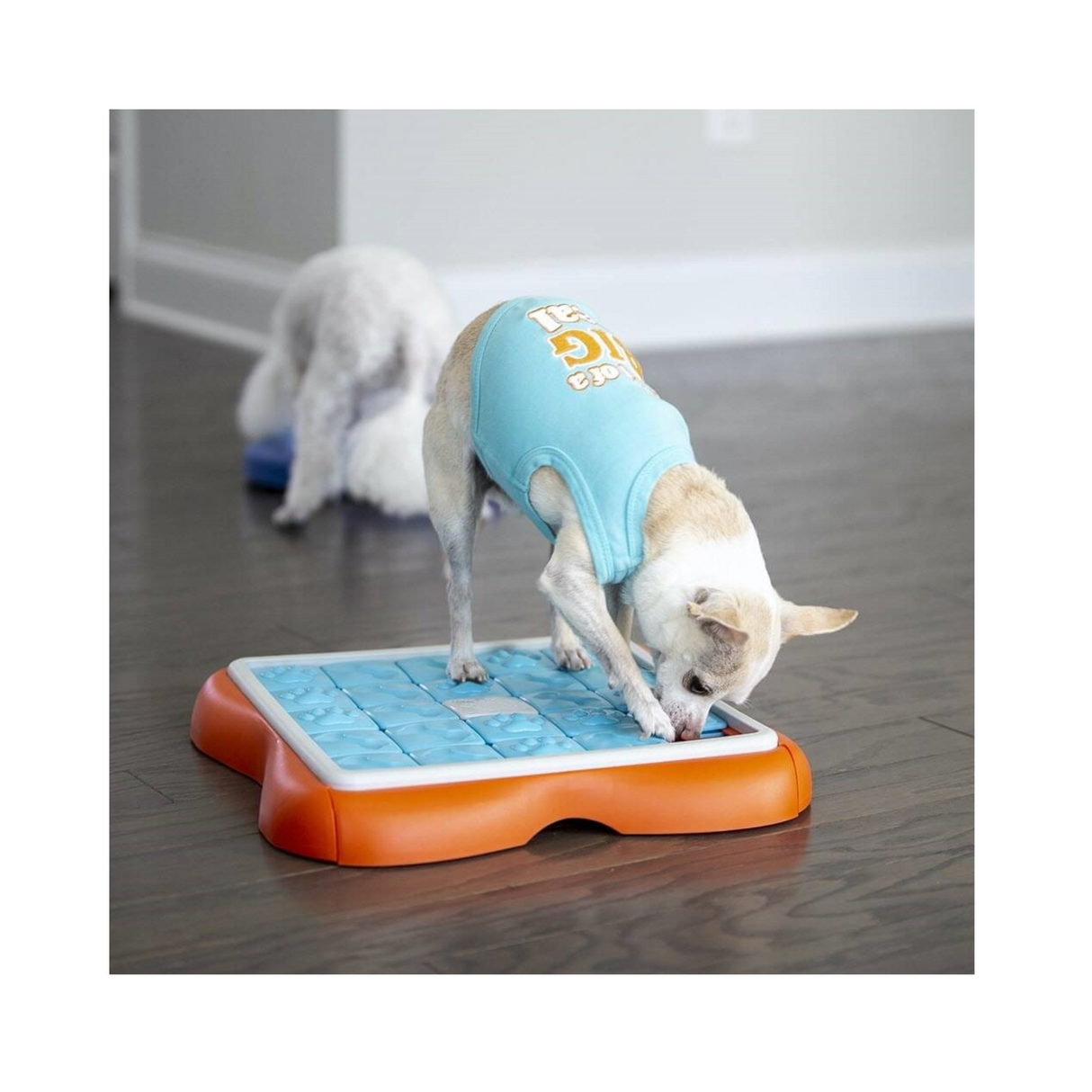 Dog Challenge Slider – hundepuslespil Level 3 til mental aktivering