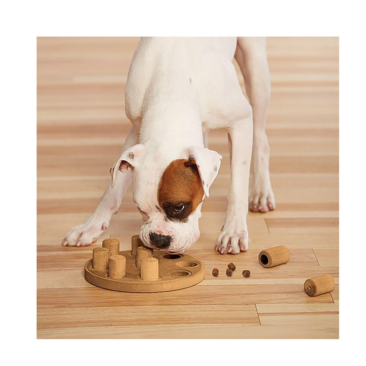 Dog Smart Komposit Orange – Begynder puslespil til hunde