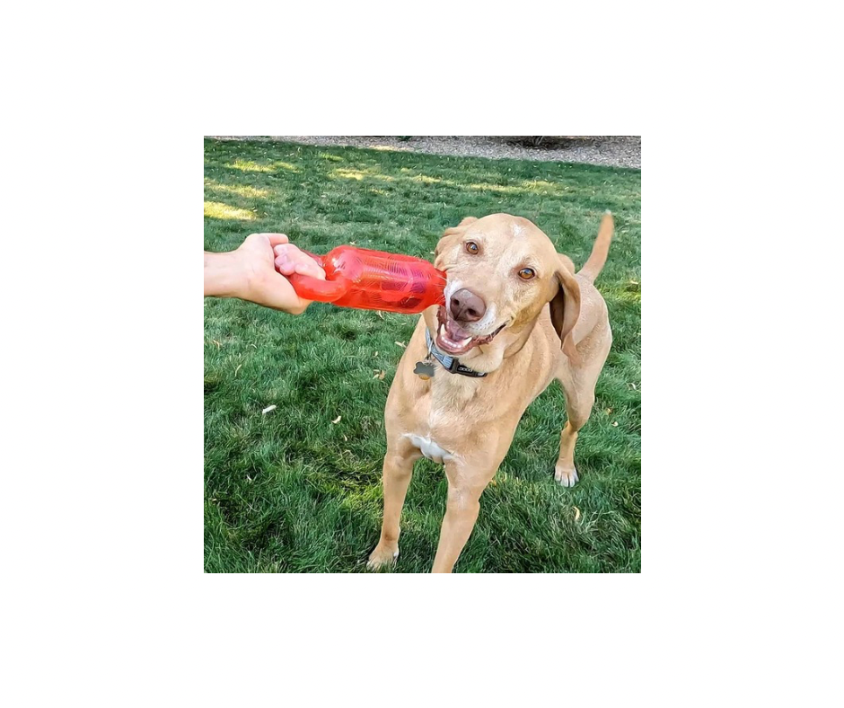 KONG Jumbler Tug med pivelyd – Sjovt og robust hundelegetøj til træk og kaste