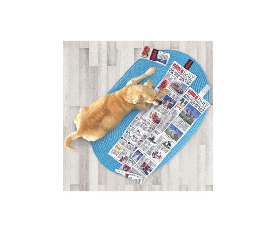KONG Daily Newspaper XL – Sjov & Blød Avis til Hundelegetid
