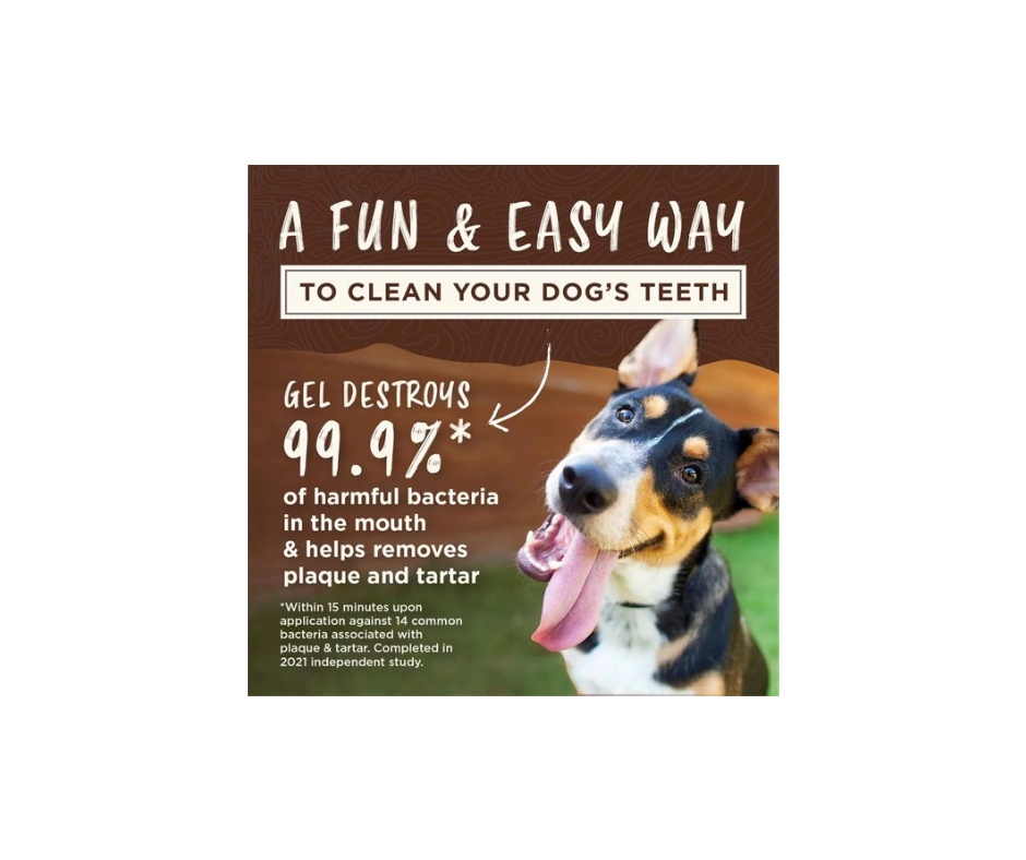 KONG TropiClean Denta Ball – Sjov og Tandpleje i Én (3 størrelser + refill)