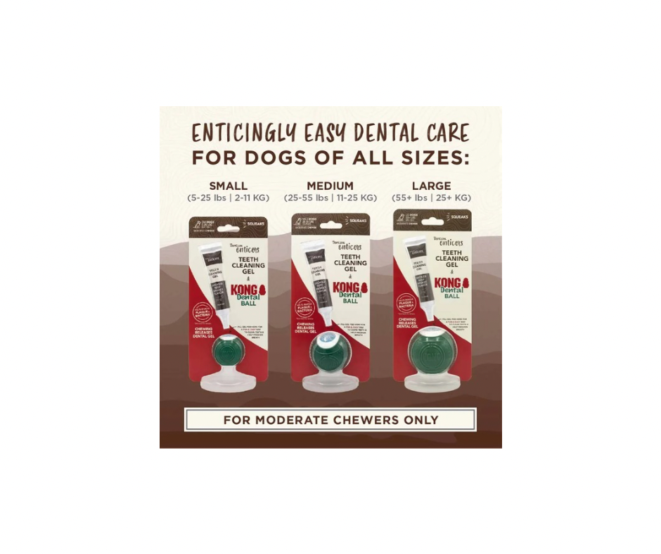 KONG TropiClean Denta Ball – Sjov og Tandpleje i Én (3 størrelser + refill)