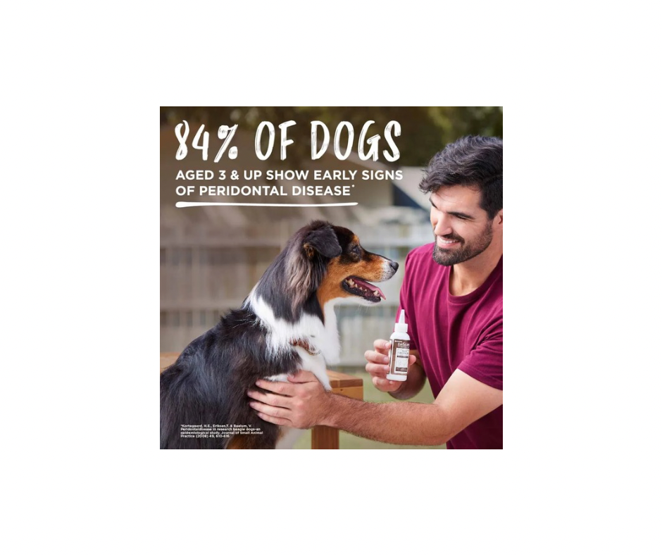 KONG TropiClean Denta Ball – Sjov og Tandpleje i Én (3 størrelser + refill)