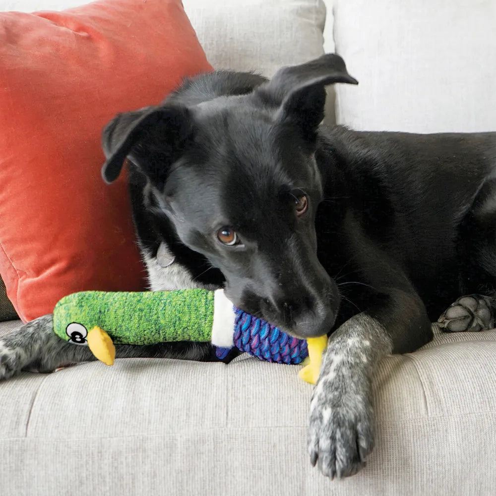 KONG Shakers Cuckoos – Holdbart & Sjovt Hundelegetøj (farve ass.)