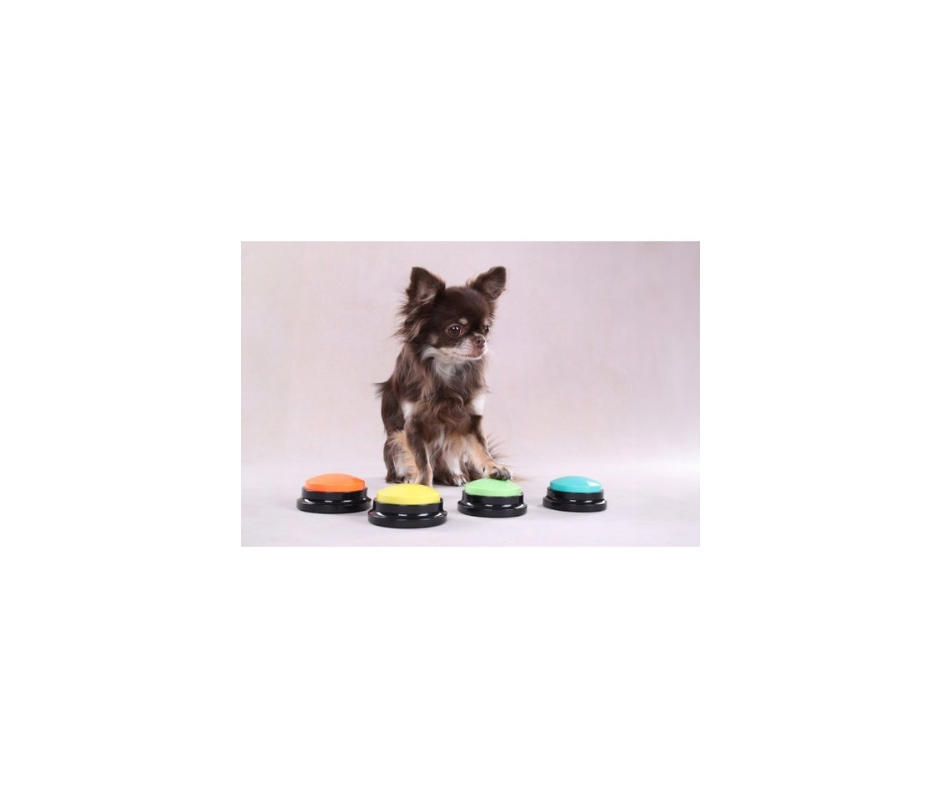 DT Karao Audioknap – Optagbar Kommunikationsknap til Hunde (8,8 cm) – Fås i 4 Farver