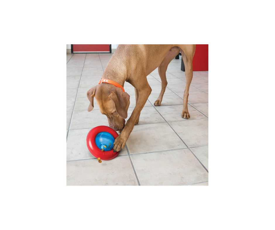 KONG Gyro – Interaktiv Godbidsdispenser (S & L)