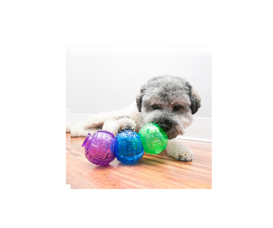 KONG Lock-It – Udfordrende Godbidsdispenser (S, 3-pack)