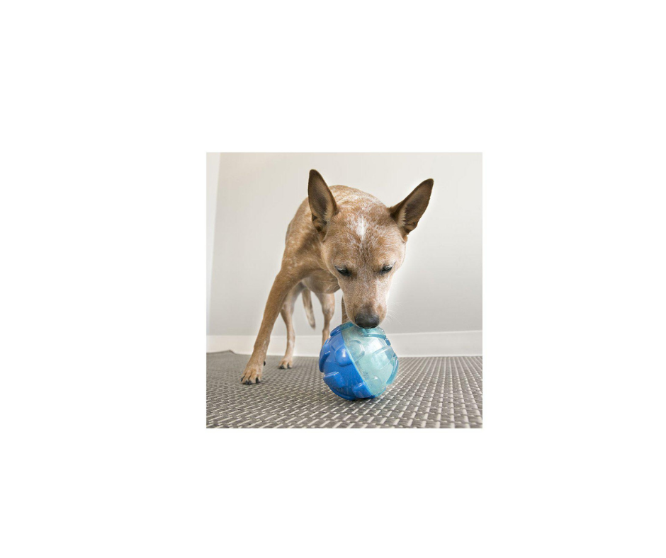 KONG Rewards Ball Large – Sjov & Holdbar Godbidsdispenser (Ø12 cm)