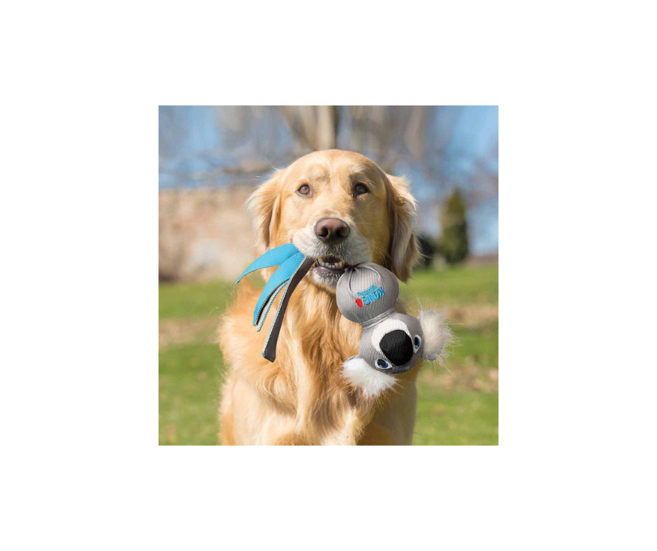 KONG Wubba Zoo – Sjovt Træk- & Apporteringslegetøj (Mandrill & Koala)