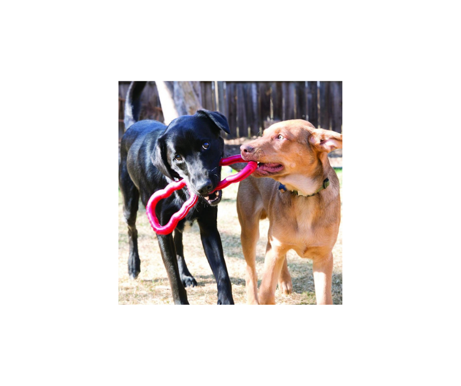 KONG Tug – Interaktivt Trækkelegetøj til Dynamisk Leg (M)