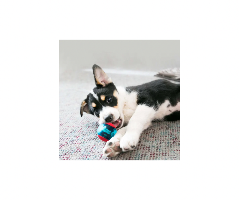 KONG Squeezz Action Ball S-M – Sjove og holdbare bolde med spændende hop