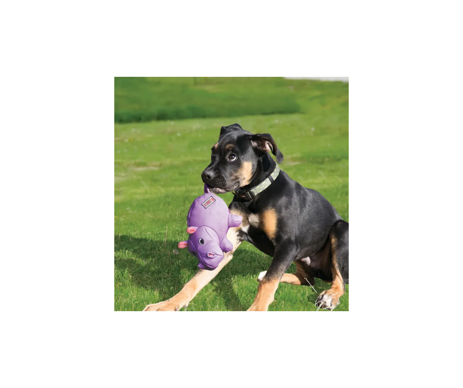 KONG Phatz Flodhest M 20x10x13 cm – Sjov tekstur & holdbart legetøj