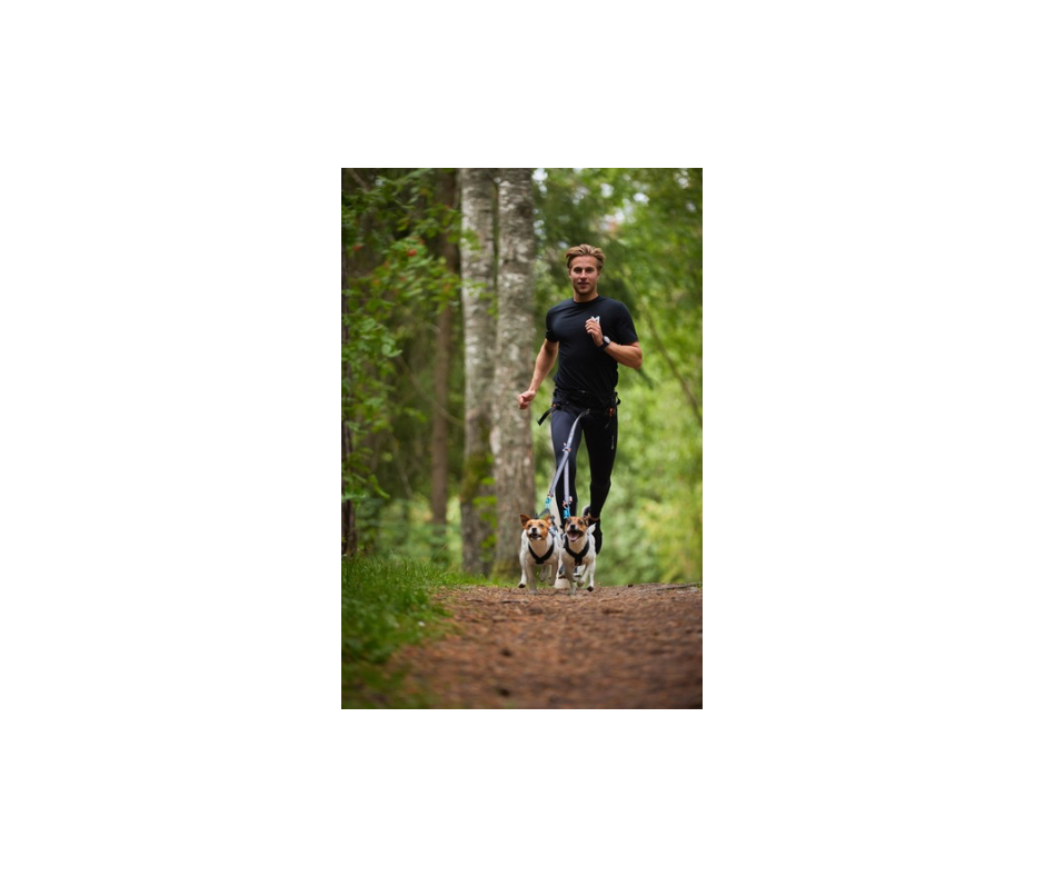 Non-stop Dogwear Touring Doubler Leash hundesnor - Unisex, Black/Grey, 23 mm & 13 mm