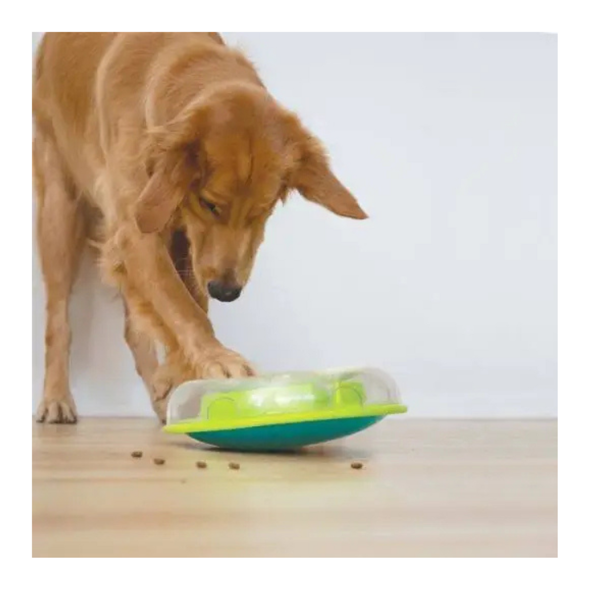 Nina Ottosson Dog Wobble Bowl – Begynder puslespil & slowfeeder i ét