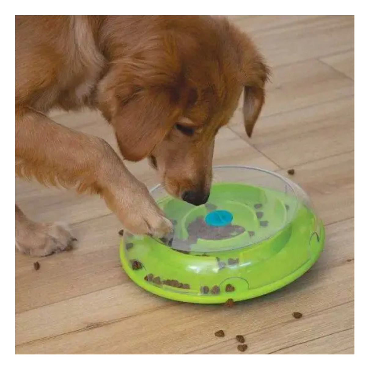 Nina Ottosson Dog Wobble Bowl – Begynder puslespil & slowfeeder i ét